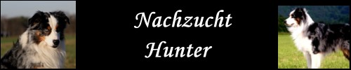 Nachzucht-Hunter - 2