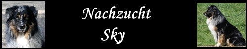 Nachzucht-Sky - 2