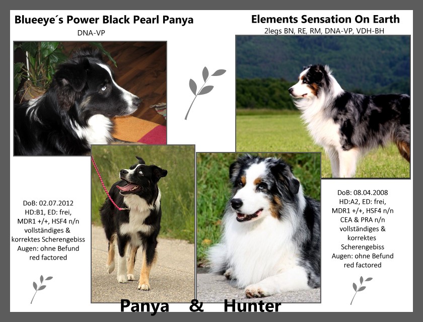 Panya&Huntert - 5