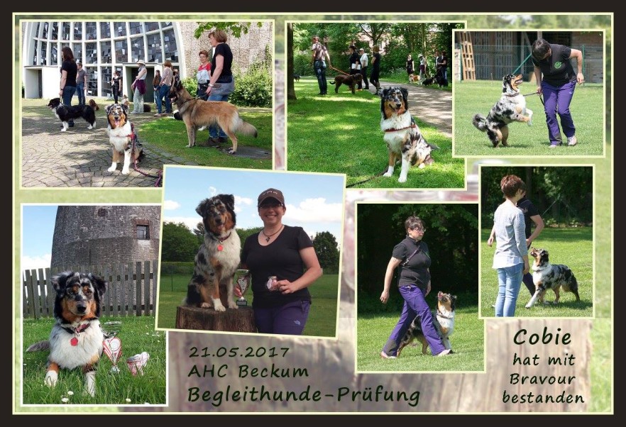 Cobie-BH18595243_1336680783075124_1556653396515762315_o