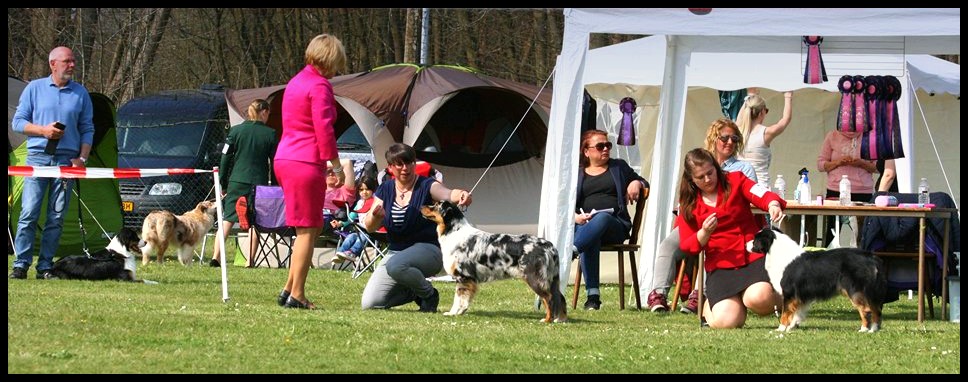 TrioCobie17820800_1286331031443433_1302724633_n