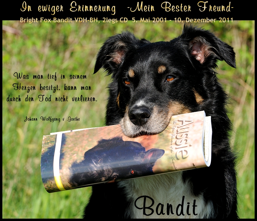 bandit-memory